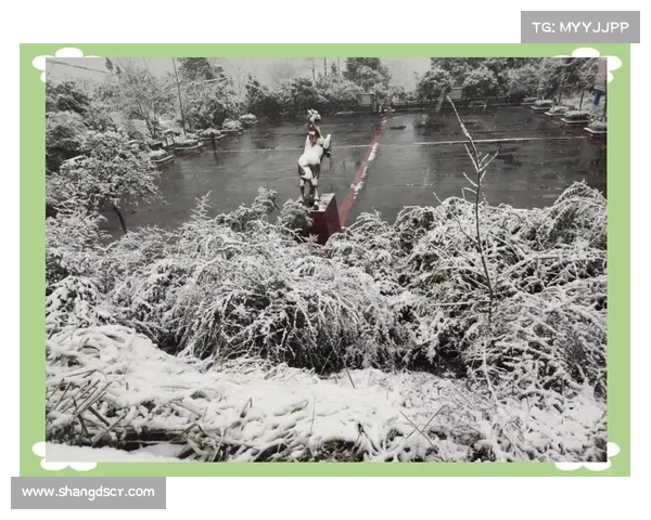 冬日湖畔的静谧与美丽探寻之旅如何在寒冷中感受温暖与宁静