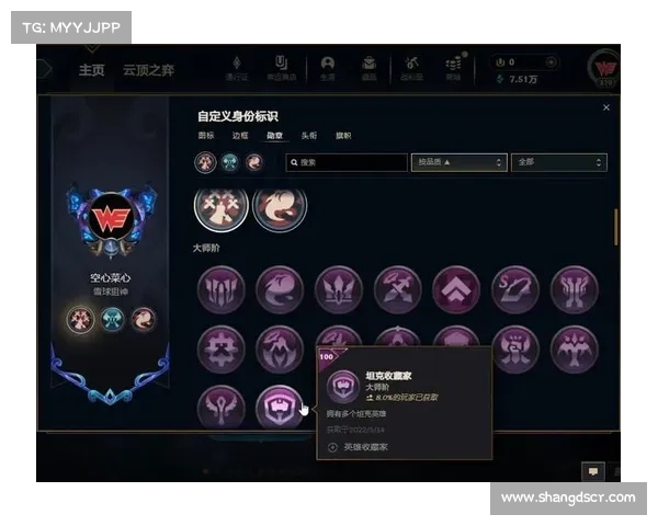 《英雄联盟个性化成就展示的五大技巧提升游戏体验》