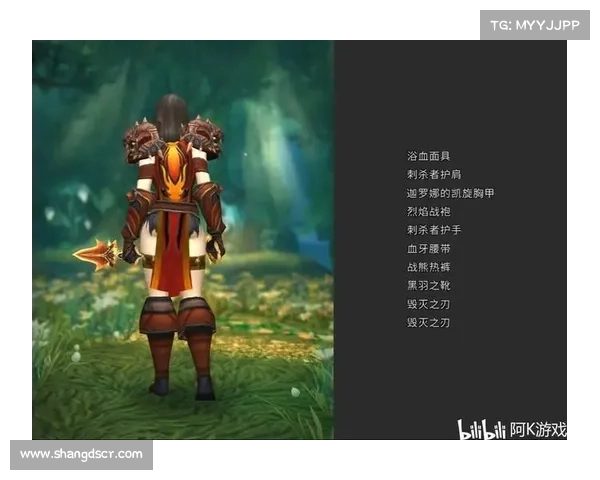 如何通过盗贼幻化系统提升游戏体验与角色个性化打造技巧