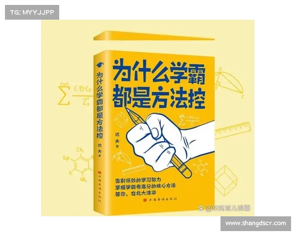 DK宏技术应用研究的最佳实践与技巧探索及其优化策略