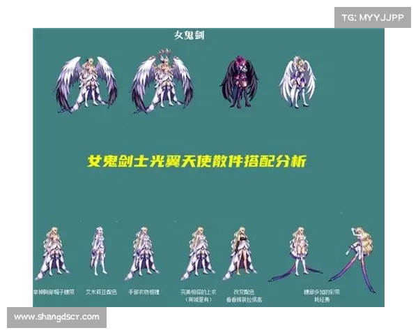 揭示DNF天使角色的神秘魅力与超凡气质探索