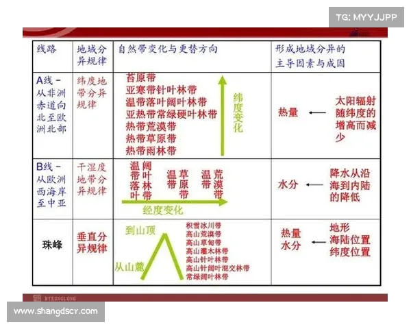 以欧协联决赛规则为核心的技术性深度解析与战术影响研究框架全貌
