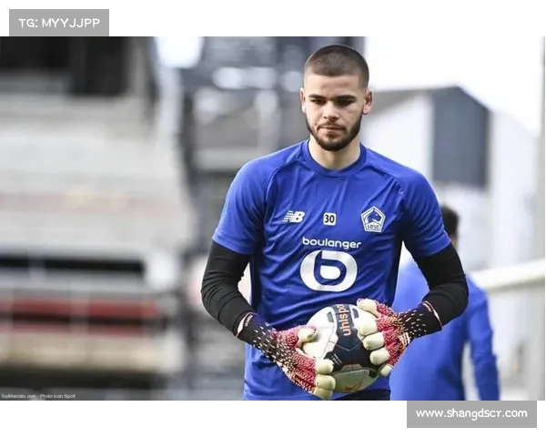 围绕法甲冠军二十一大争议点的深度解读与多方观点全面剖析综合评述