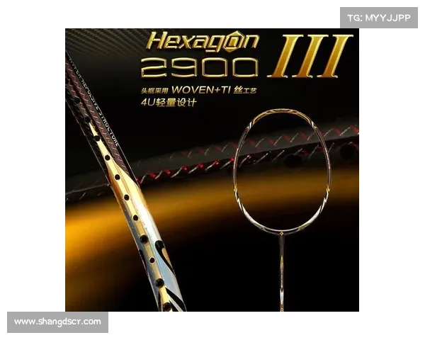 大马羽毛球超级1000赛未来发展趋势与国际影响力的提升分析